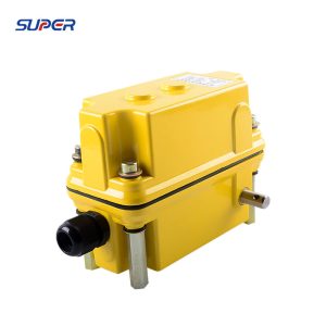 DXZ Limit Switch