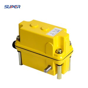 DXZ Limit Switch